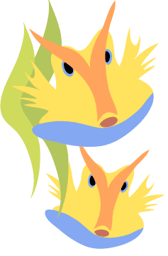 cowfish illustration